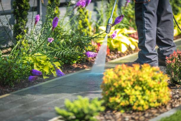 Professional Pressure Washing Services in Cherry Valley, IL