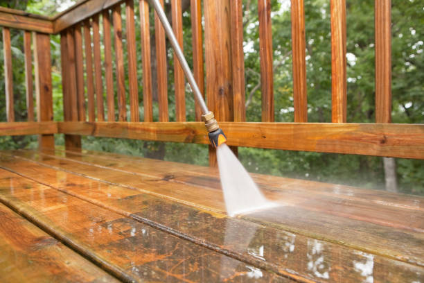 Best Driveway Pressure Washing  in Cherry Valley, IL