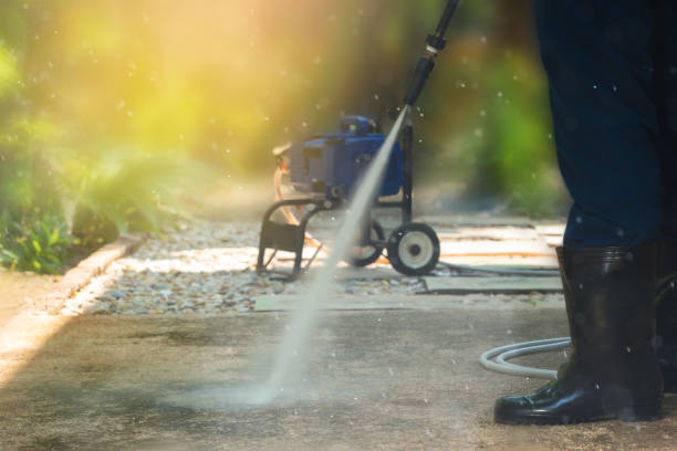 Best Sidewalk and Walkway Cleaning  in Cherry Valley, IL
